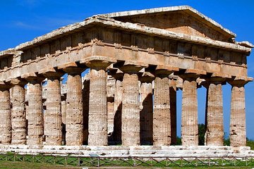 From Sorrento Paestum Temples Mozzarella farm Wine tasting lunch
