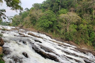 Athirappally & Vazhachal Waterfall Tour with Lunch