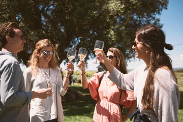 Premium Vineyard Tour & Tasting