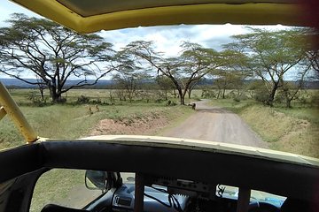 Private Day tour Nakuru National Park & Boat Ride