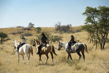 Horseriding Safari Day Tour from Johannesburg 