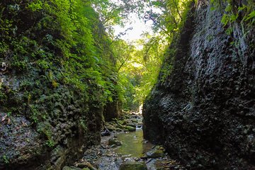 Angelic Stream Trekking (departure with 4 people)