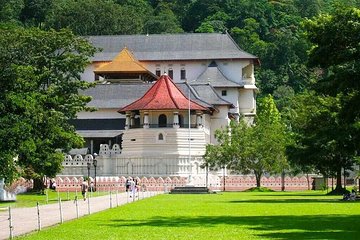 Kandy Day Trip from Colombo: Tea Factory- Peradeniya Botanical Gardens-Kandy