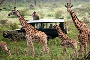 4-Days Best of Masai Mara Wildlife Lodge Safari
