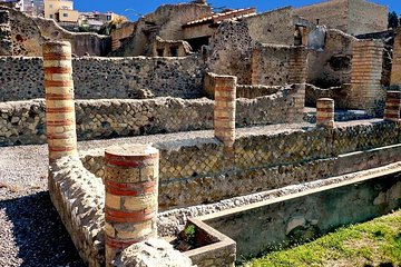 Half Day Herculaneum from Sorrento