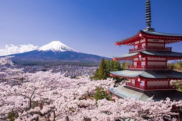 Mt. Fuji View and 2hours+ free time at Gotemba Premium Outlets