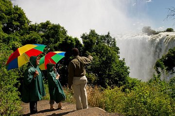 Falls Tour, Boma Dinner and Zipline 