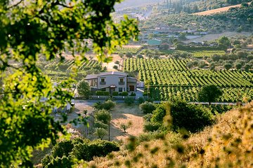 BEST Peloponnese Wine Roads Tour with Ancient Nemae