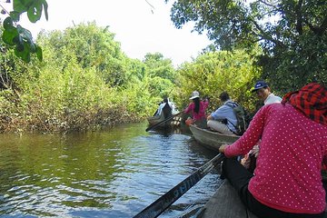 Kompong Phluk Mangroves & Stilt House Village