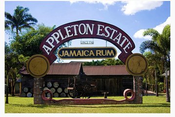 Appleton Estate Rum Private Tour