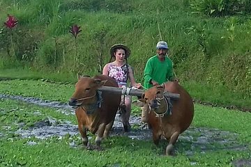 Sidemen Trekking