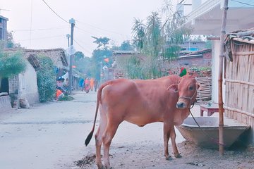 Village Tour in Varanasi