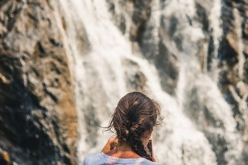 Dudhsagar waterfall wildlife & spice plantation Tour in Goa