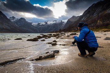 Arctic Nature Tour from Tromsø by minibus