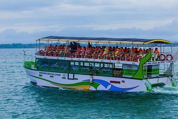 Whale & Dolphin Watching Day Tour including Handunugoda Teafactory 