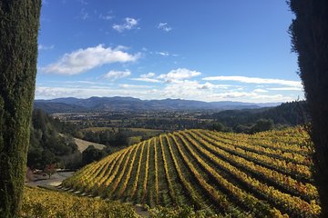 8-Hours Private Limo(up to 8 pass.) Wine Tour of Napa Valley from San Francisco