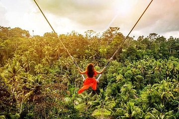 Bali Swing Experience and Ubud Tour