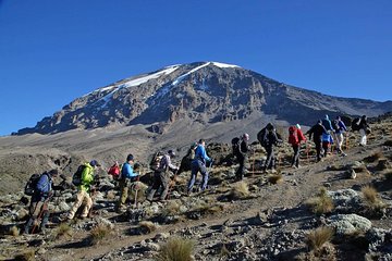 Kilimanjaro Climb - 8 Days Lemosho Route