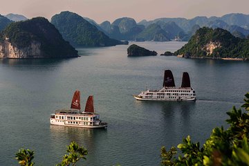 Halong Bay Cruise 2D1N with Meals, Kayak, Cave - All Inclusive 