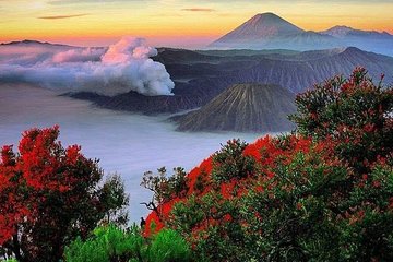 Bromo Ijen Tour From Bali