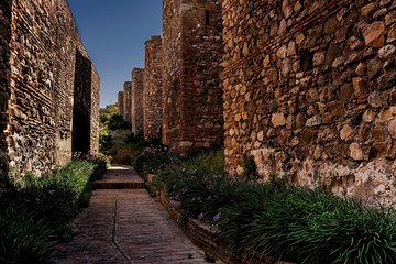 Private Walking Tour in Málaga