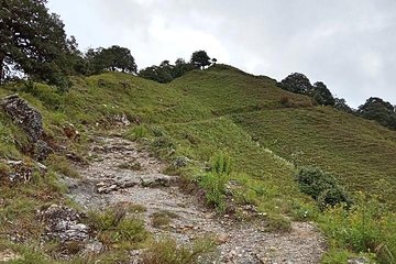 Benog Tibba Nature Trail