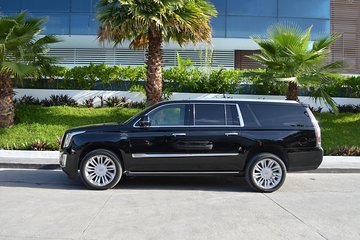 Arrival Luxury Transportation: Punta Cana International Airport to Hotels (1-5)