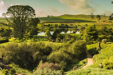 Private The Hobbiton Tour - Auckland Tour House