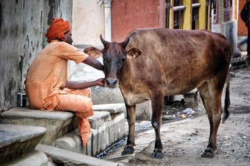 Photo Tour In Holy Varanasi 