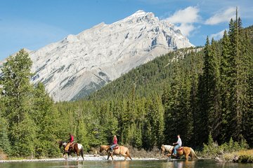 4 Hour Sulphur Mountain Horseback Ride