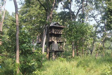 Jungle Towernight Stay In Chitwan National Park ,nepal-2 Nights 3 Days Package