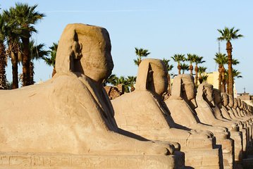 Day tour from hurghada to Luxor and back to hurghada (privet)