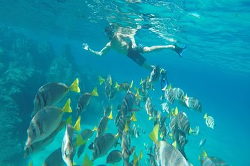 Land's End & Snorkel Tour in a Glass Bottom Boat (VisitA Cabo)