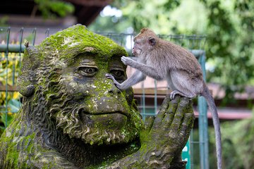 Half Day Ubud Tour: Ubud Unique Spots