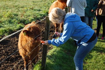 5-Day Best of Scotland Tour from Edinburgh