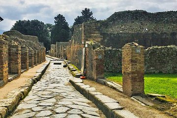 Day trip to Pompeii from Naples