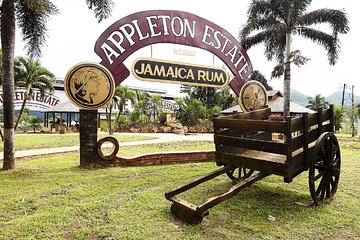 YS Falls and Appleton Rum Tour Adventure Tour from Montego Bay