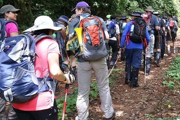 1 Day Kilimanjaro Hike Machame Route