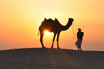 Morning Desert Safari
