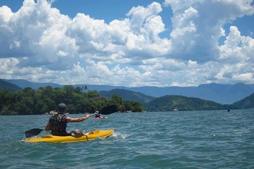 Kayaking Mangroves tour