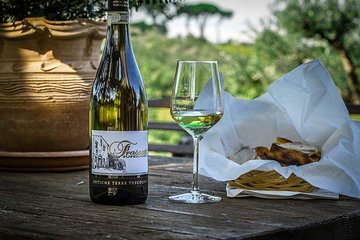Frascati Wine Tasting Tour: The Flavors of the Roman Countryside