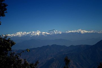 Top Tibba Day Hike and Dhanaulti Visit