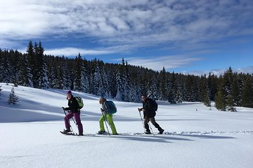 A Snowshoeing Day in Vitosha Mountains