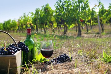 9-hour Cultural Tour in Athens and Nemea Wine Tour shore excursion