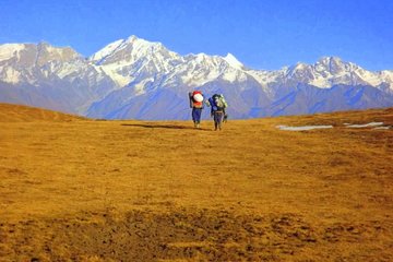 Dayara Bugyal Himalayan Trekking and Camping