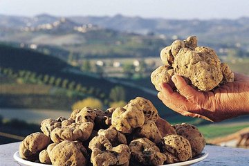 Private Truffle Hunt in Tuscany