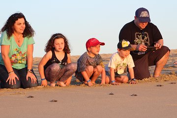 Cabo Turtle Release