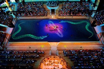 Xcaret Plus Park Tour with Transportation from Riviera Maya