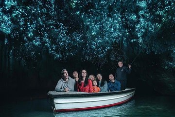 Waitomo Caves Private Tour from Auckland