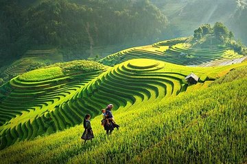 Sapa Trekking Tour 2 Days 1 Night By Bus